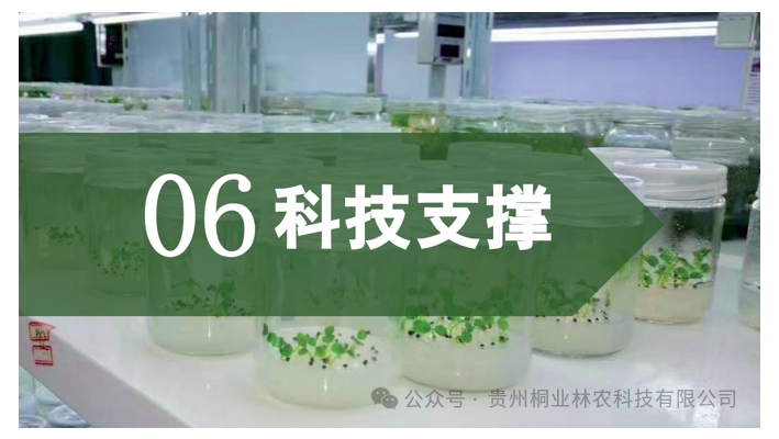 20240724090653130-微信截图_20240722133220