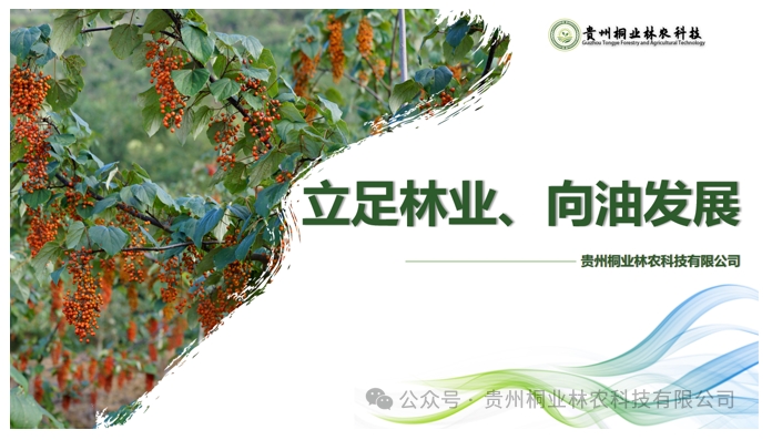 20240724090654402-微信截图_20240722132940