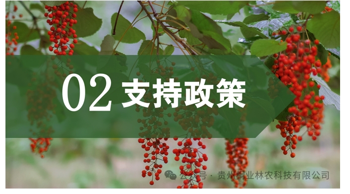 20240724090702229-微信截图_20240722133038