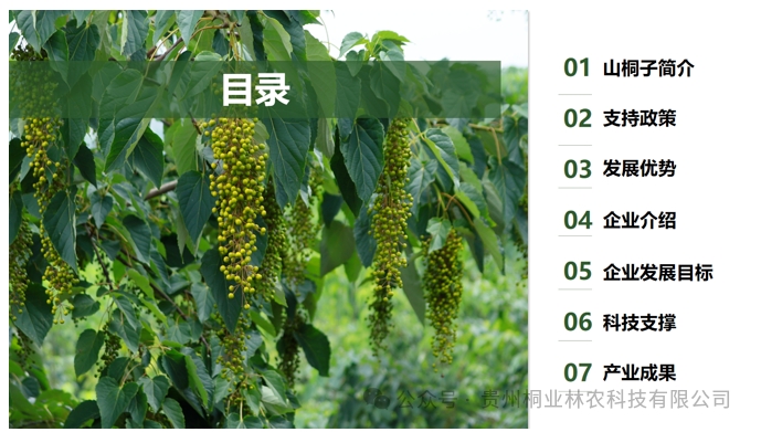 20240724090705262-微信截图_20240722132952