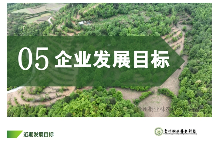 20240724090709448-微信截图_20240722133158