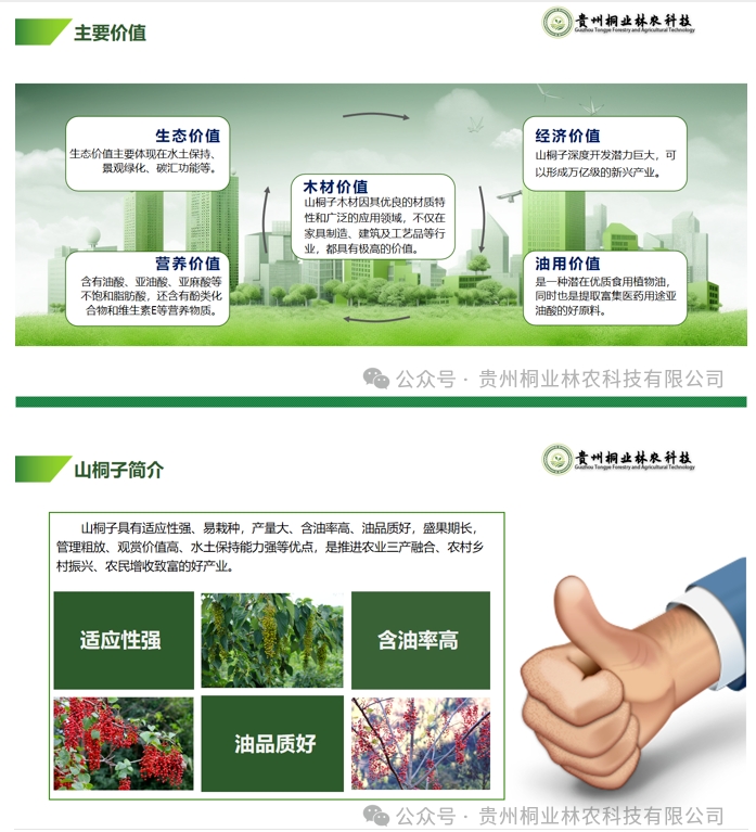 20240724090711113-微信截图_20240722133028