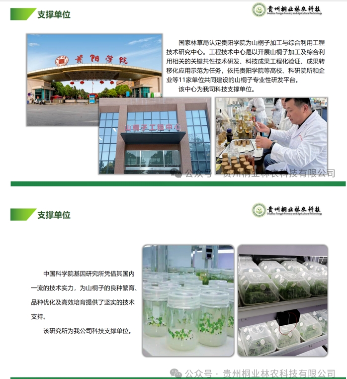 20240724090711666-微信截图_20240722133243