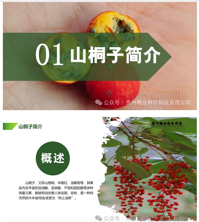 20240724090712624-微信截图_20240722133011