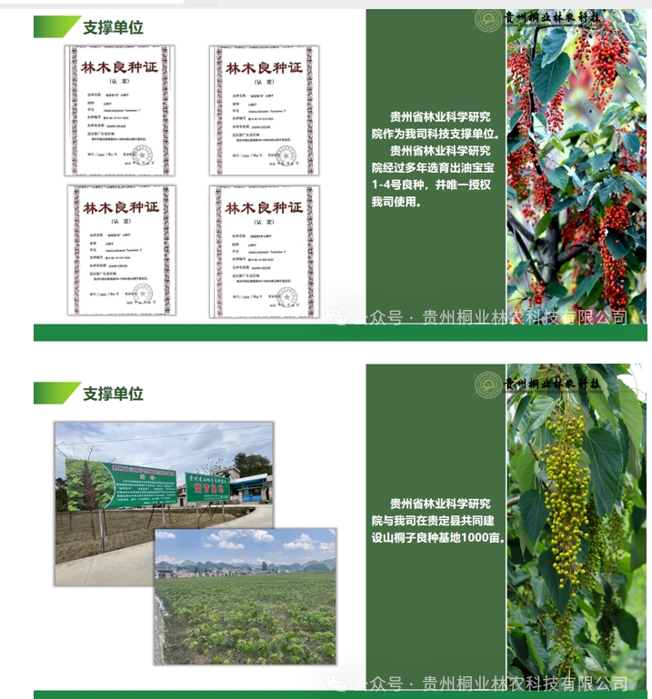 20240724090712690-微信截图_20240722133234