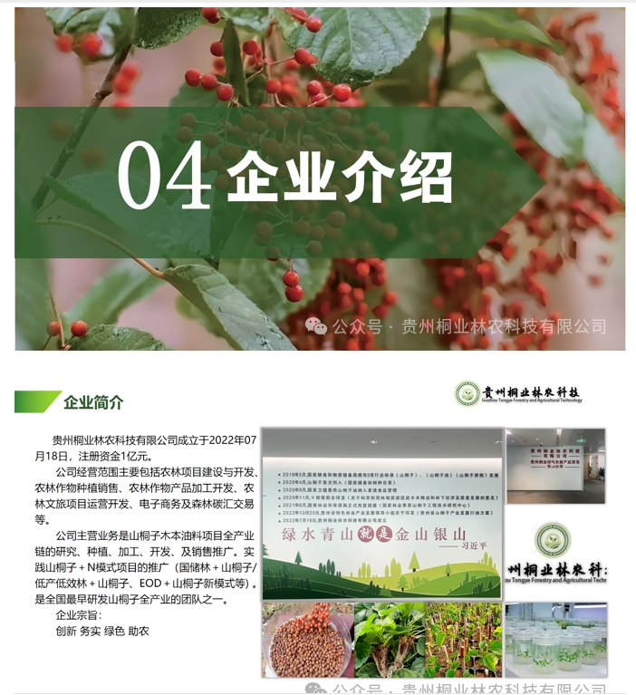 20240724090712879-微信截图_20240722133140