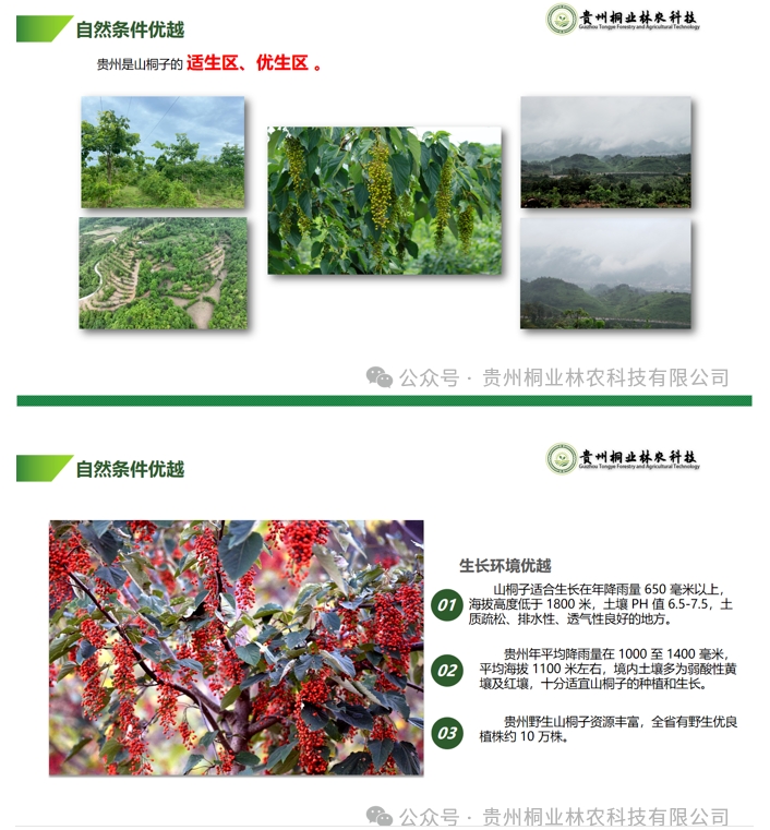 20240724090712887-微信截图_20240722133130