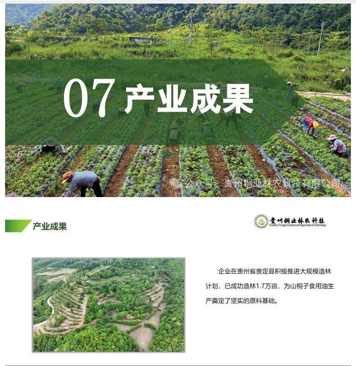 20240724090713300-微信截图_20240722133252