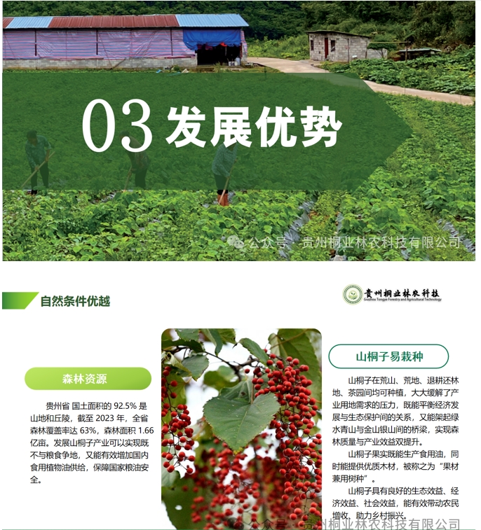 20240724090713481-微信截图_20240722133120