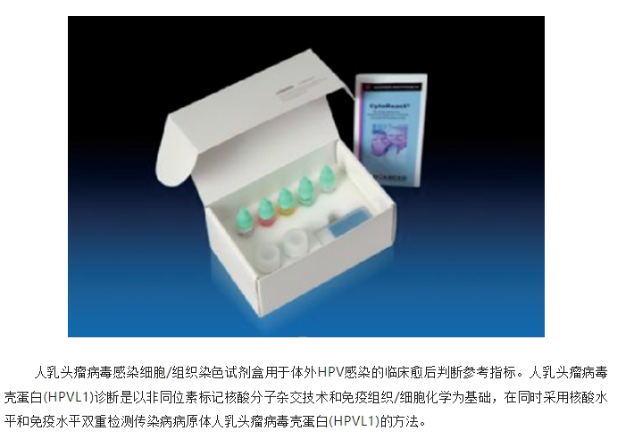 20240807093006199-微信截图_20240807092757