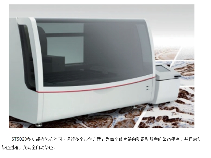 20240807093016947-微信截图_20240807092814