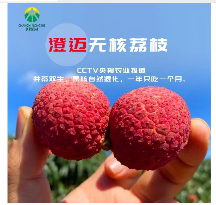 20240808093058824-微信截图_20240808092923