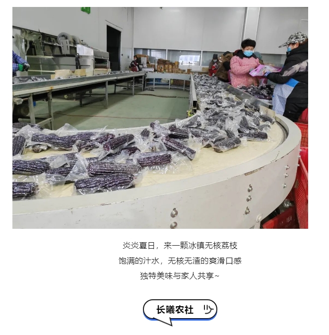 20240808093058838-微信截图_20240808092912