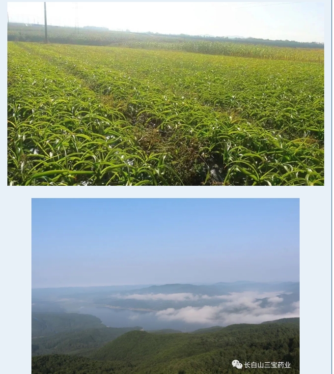 20240809090715509-微信截图_20240809090622