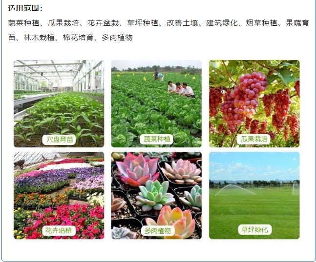 20240809094039962-微信截图_20240809094003