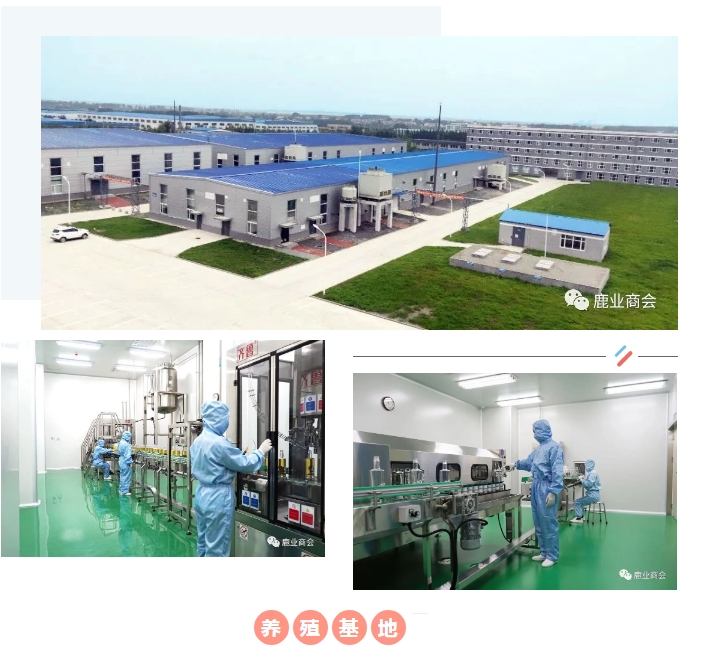 20240809094729110-微信截图_20240809094534