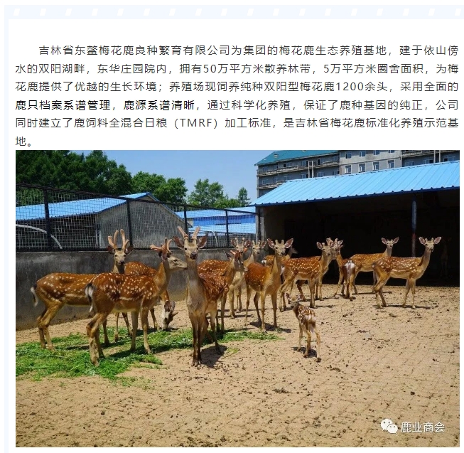 20240809094729927-微信截图_20240809094545