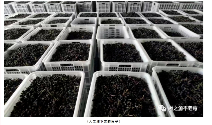 20240812094622301-微信截图_20240812094353