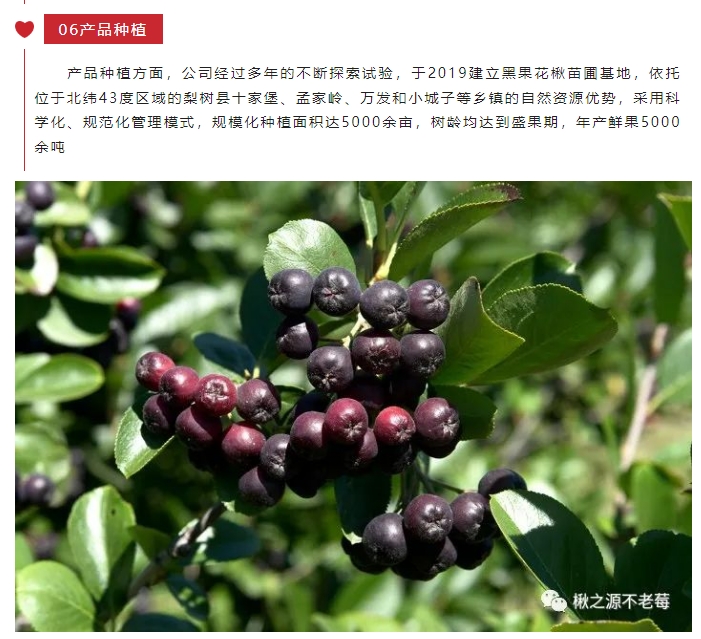 20240812094624589-微信截图_20240812094325