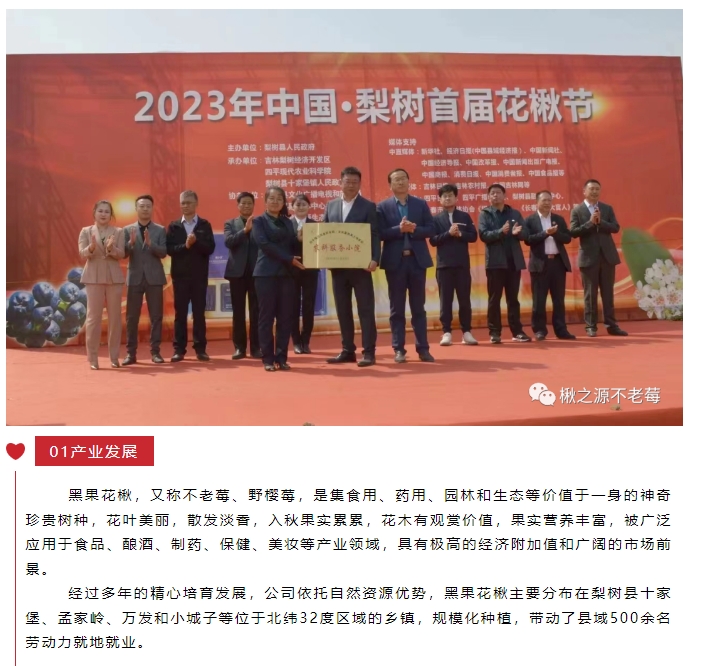 20240812094624892-微信截图_20240812094225