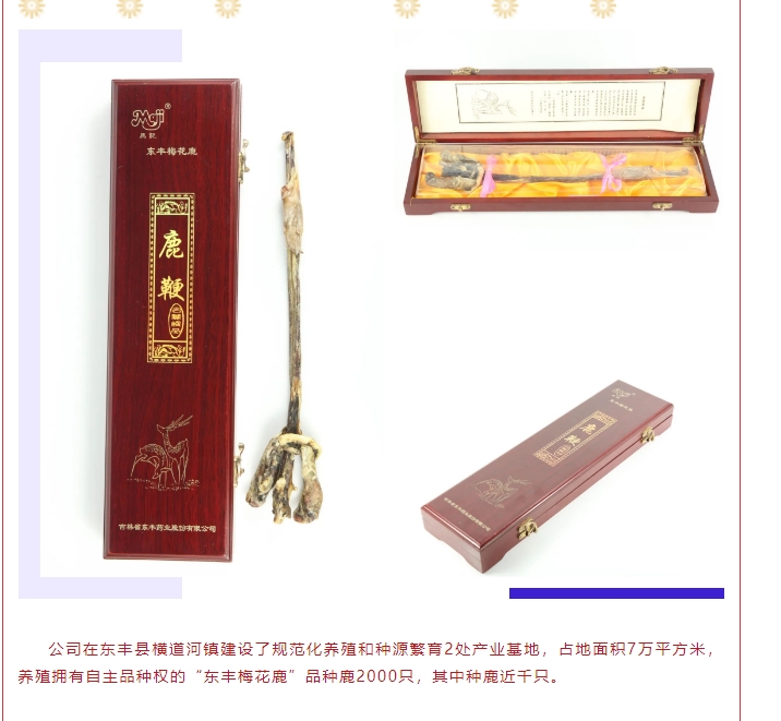 20240813094332574-微信截图_20240813094220