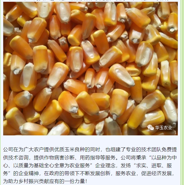 20240813094832989-微信截图_20240813094740