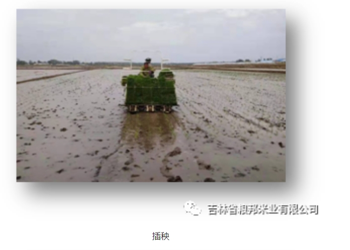 20240813095639679-微信截图_20240813095311