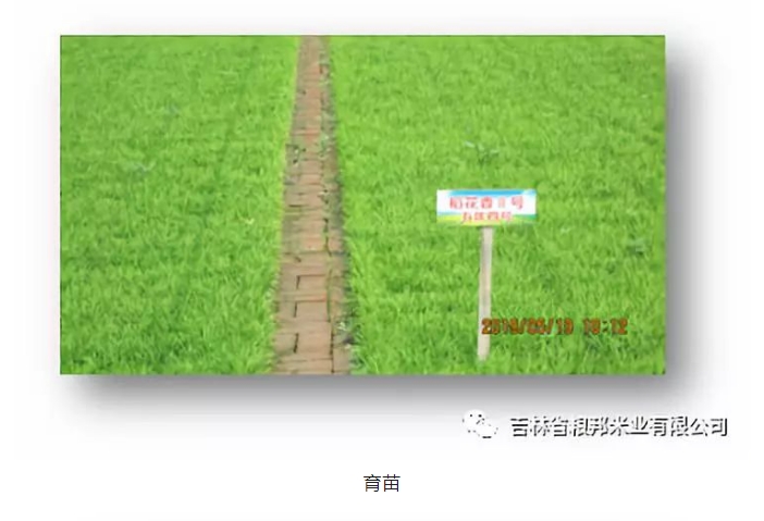 20240813095642628-微信截图_20240813095303