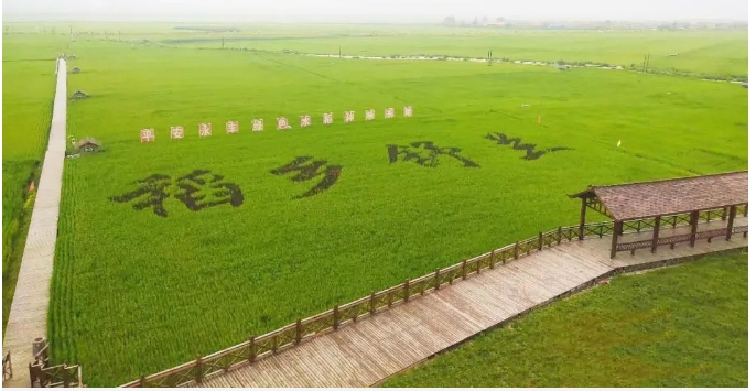 20240814092849613-微信截图_20240814092607