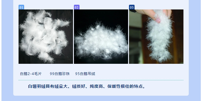 20240814093634188-微信截图_20240814093411