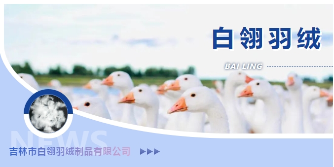 20240814093634946-微信截图_20240814093237