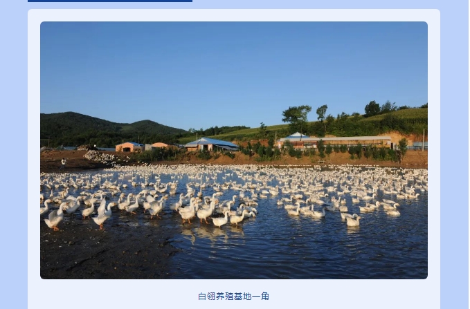 20240814093644676-微信截图_20240814093339