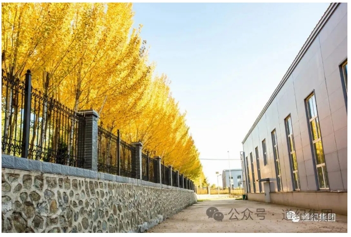 20240816093738924-微信截图_20240816093619