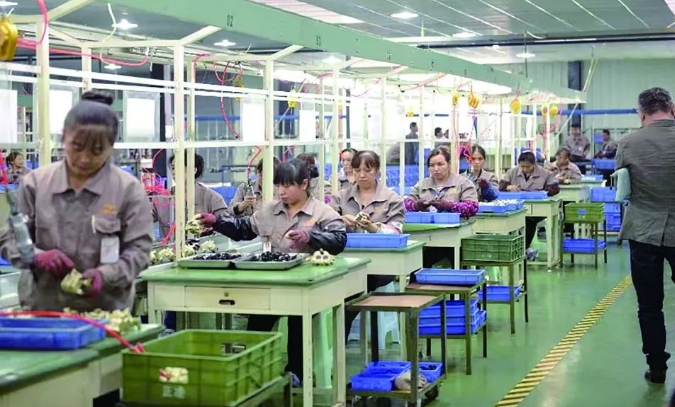 20240819092422603-微信截图_20240819092325