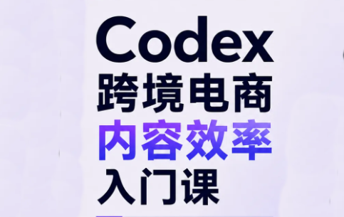Codex跨境电商内容效率入门课采购|汽车产业|汽车配件|机加工企业家交流社群中心