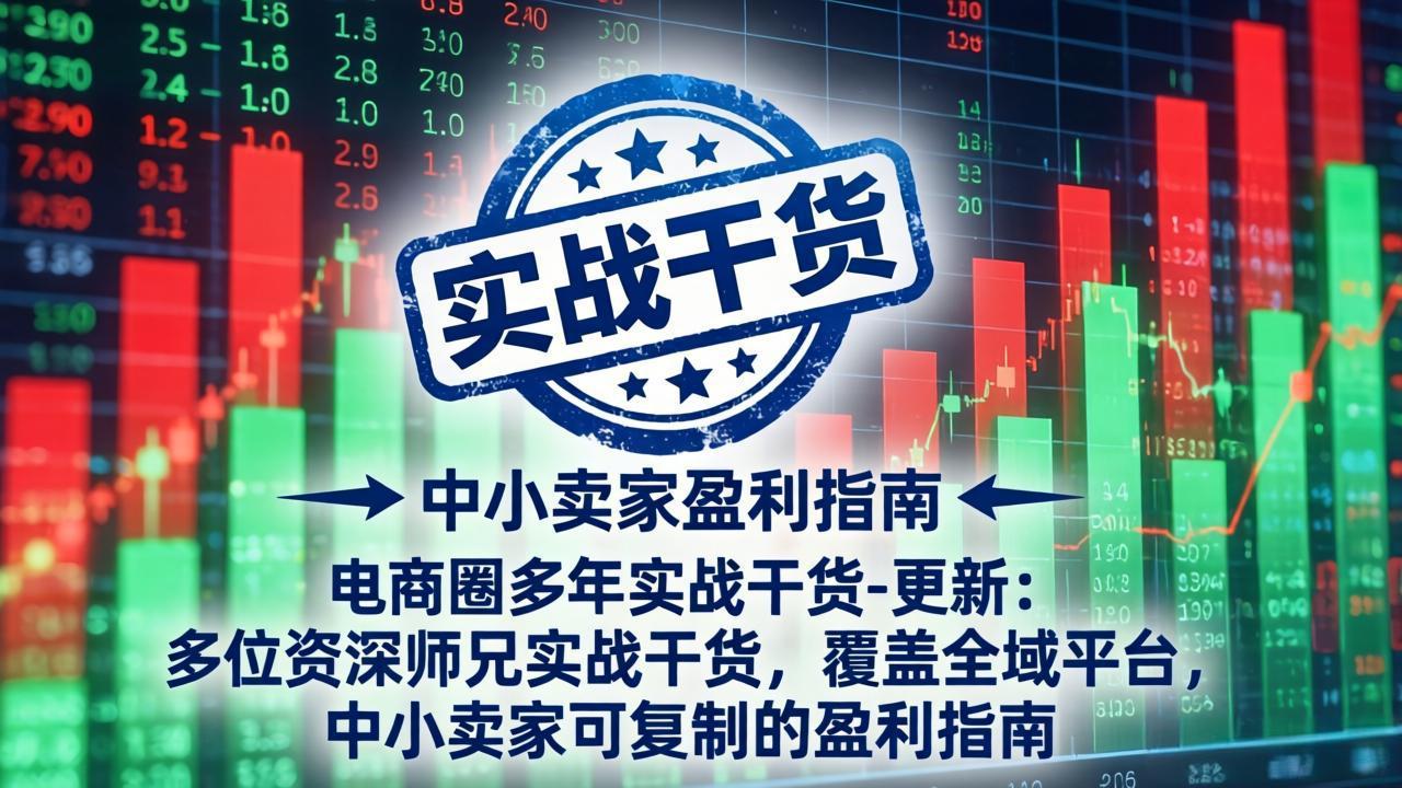 电商圈多年实战干货-更新2026：多位资深师兄实战干货/覆盖全域平台，中小卖家可复制的盈利指南采购|汽车产业|汽车配件|机加工企业家交流社群中心