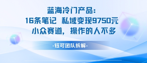蓝海项目：16条笔记私域变现9750米小众赛道操作的人不多采购|汽车产业|汽车配件|机加工蚂蚁智酷企业交流社群中心