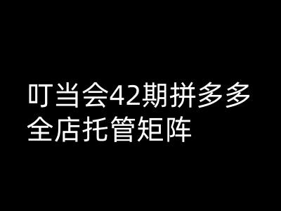 叮当会拼多多打爆班原创高阶技术第42期，拼多多全店托管矩阵采购|汽车产业|汽车配件|机加工蚂蚁智酷企业交流社群中心