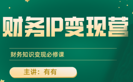 有有老师·财务IP变现营,财务知识变现必修课采购|汽车产业|汽车配件|机加工蚂蚁智酷企业交流社群中心