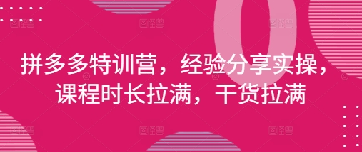 拼多多特训营，经验分享实操，课程时长拉满，干货拉满(更新25年4月)采购|汽车产业|汽车配件|机加工蚂蚁智酷企业交流社群中心