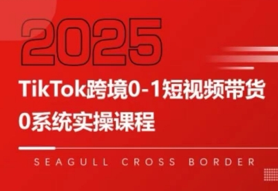 大亿老师·TikTok跨境0-1短视频带货采购|汽车产业|汽车配件|机加工蚂蚁智酷企业交流社群中心