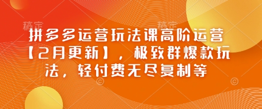 拼多多运营玩法课高阶运营【2月更新】，极致群爆款玩法，轻付费无尽复制等采购|汽车产业|汽车配件|机加工蚂蚁智酷企业交流社群中心