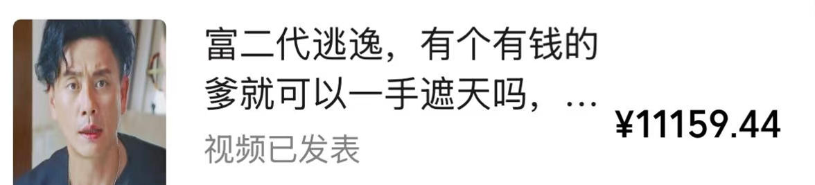 视频号某大佬的影视搬运教学,纯手法操作,可以多个平台可以发布,撸分成计划+伙伴计划+光合计划收益等