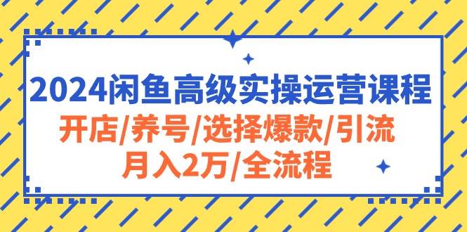 2024闲鱼高级实操运营课程：开店/养号/选择爆款/引流/月入2万/全流程采购|汽车产业|汽车配件|机加工蚂蚁智酷企业交流社群中心